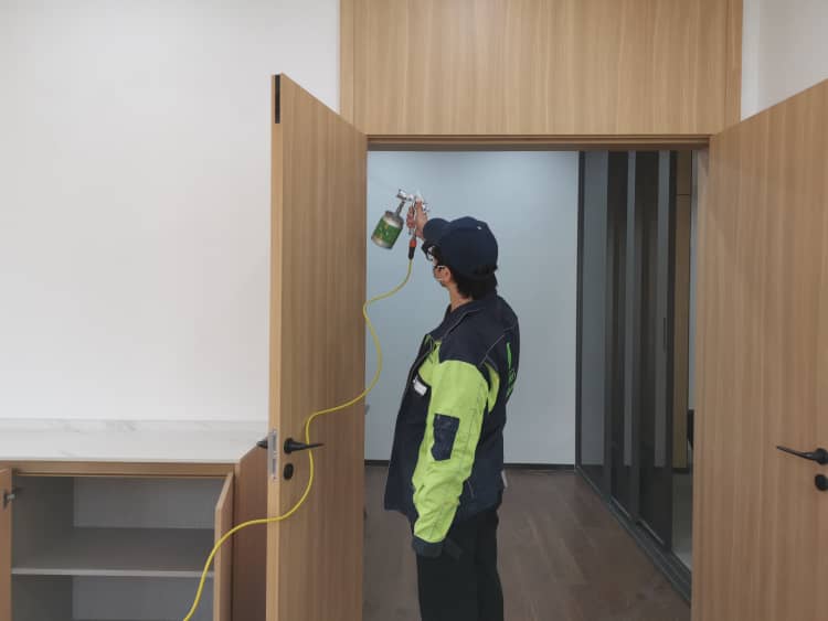 蔡甸除醛花幾多錢？格瑞樂超劃算！