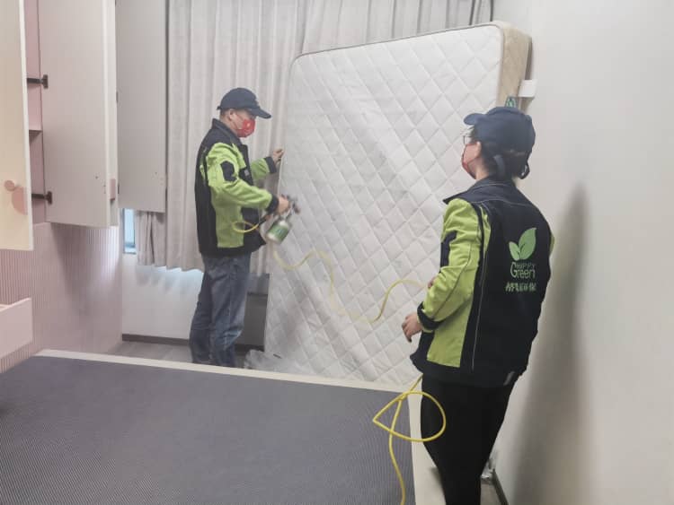 武漢辦公室除甲醛！選格瑞樂(lè)冇得錯(cuò)